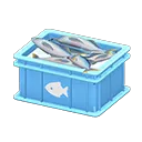 Light Blue x Fish