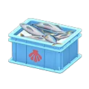 Light Blue x Scallop