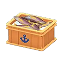Orange x Anchor