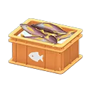 Orange x Fish
