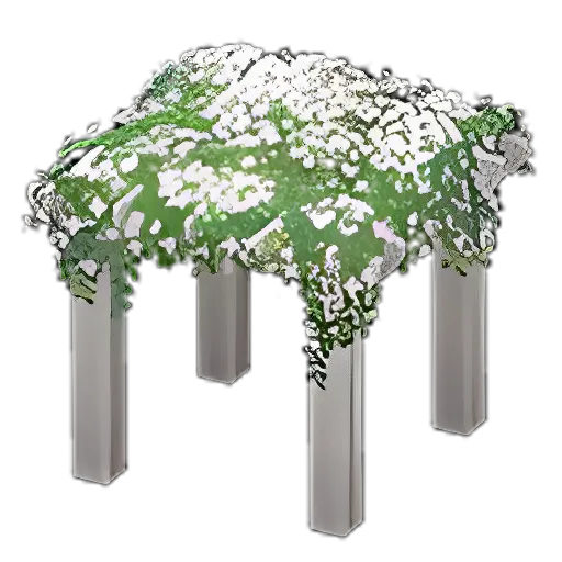 White Flowers