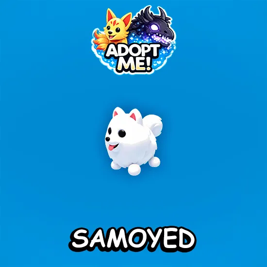 Samoyed