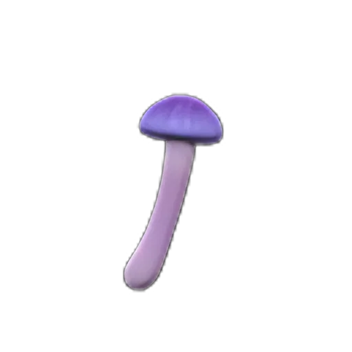 Strange Mushroom