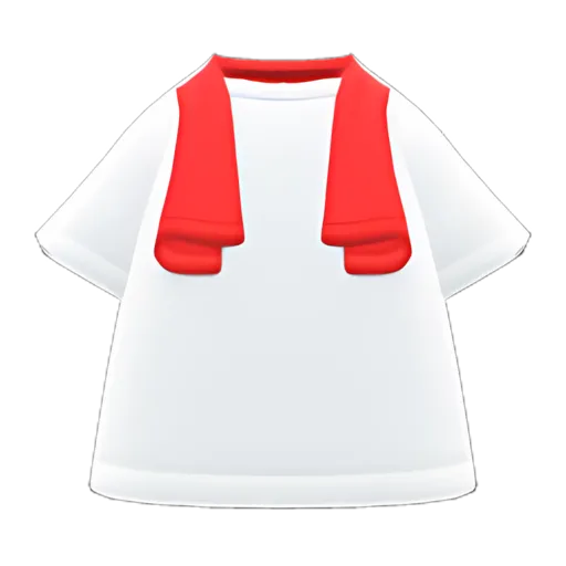 Red Towel & White Shirt