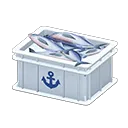 White x Anchor