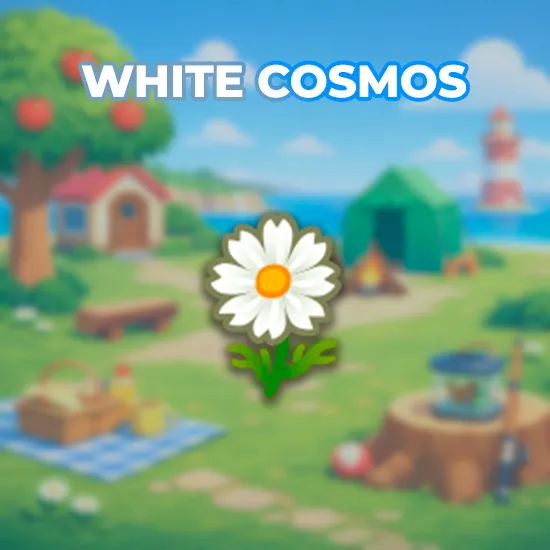 White Cosmos