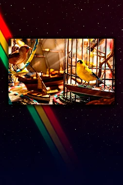 ARC Raiders Avian Alarm project