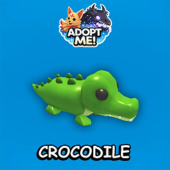 Crocodile