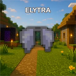 Elytra
