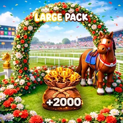Large Pack