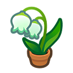 Lily-Of-The-Valley Plant