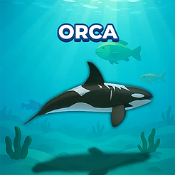 Orca
