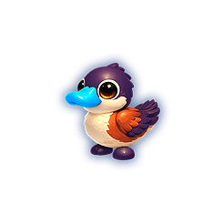 Ruddy Duck