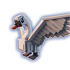 Swan