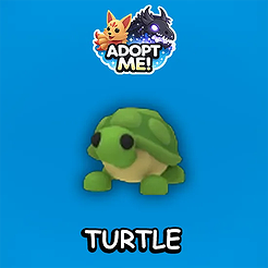 Turtle