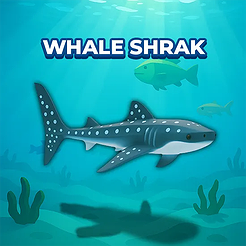 Whale Shrak