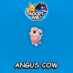 Angus Cow