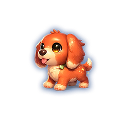 Irish Setter