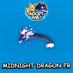 Midnight Dragon