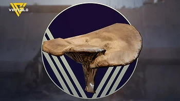Where to Find the Mushrooms in ARC Raiders