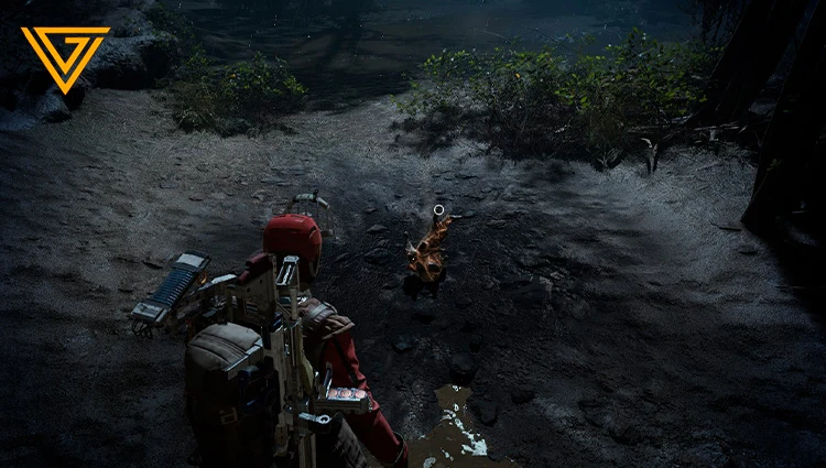 Fossilized Lightning