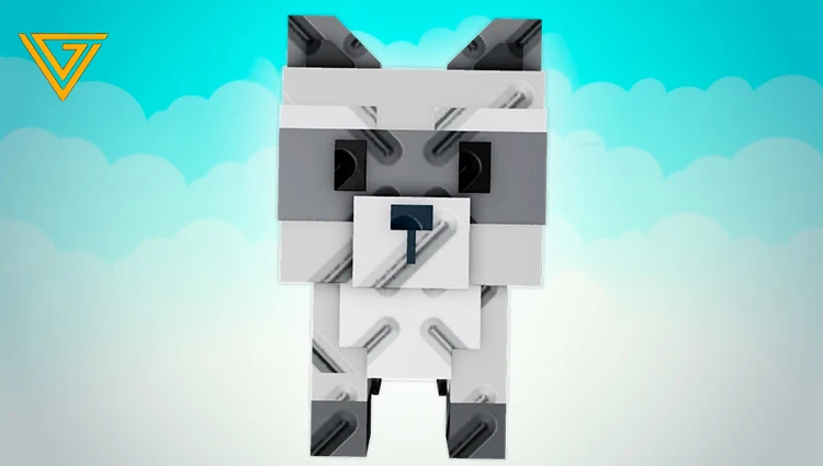 Raccoon