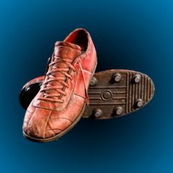 Colorful Shoes