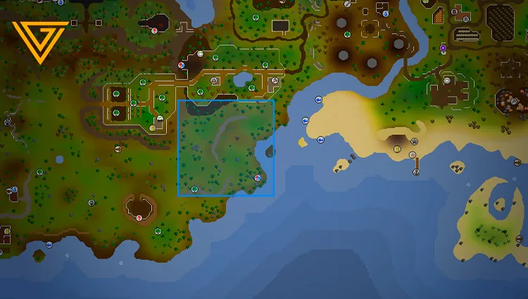 Greyhound location